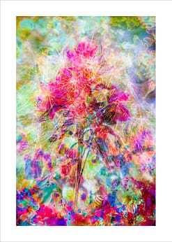 blossom-lightpainting-50x70cm