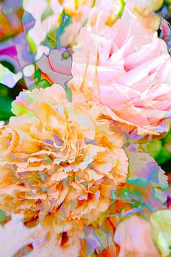 rosen-gemalt-HDR-40x60cm