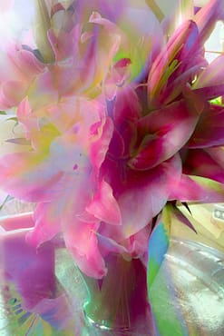 lillies-print-120x180cm